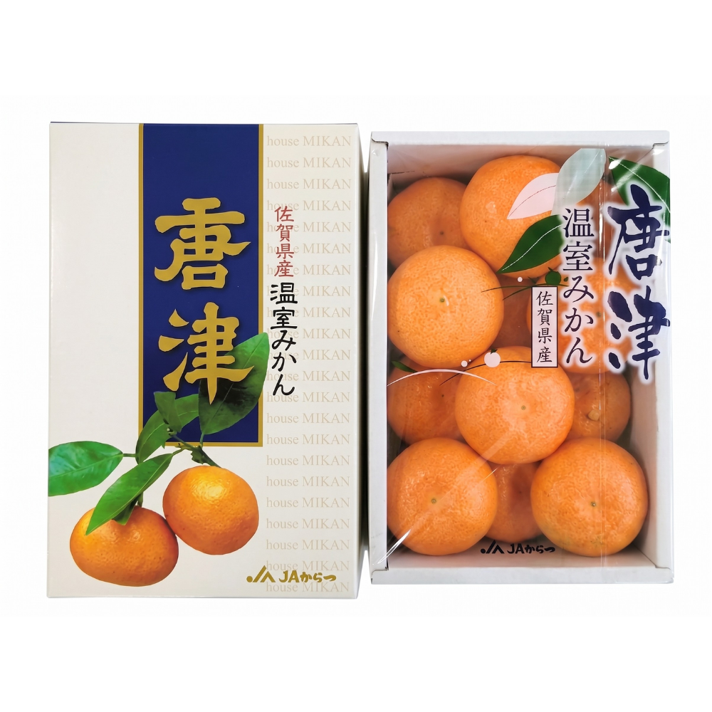 佐賀県・上場地区ハウスみかん 約1kg_554780-15_c_商品画像